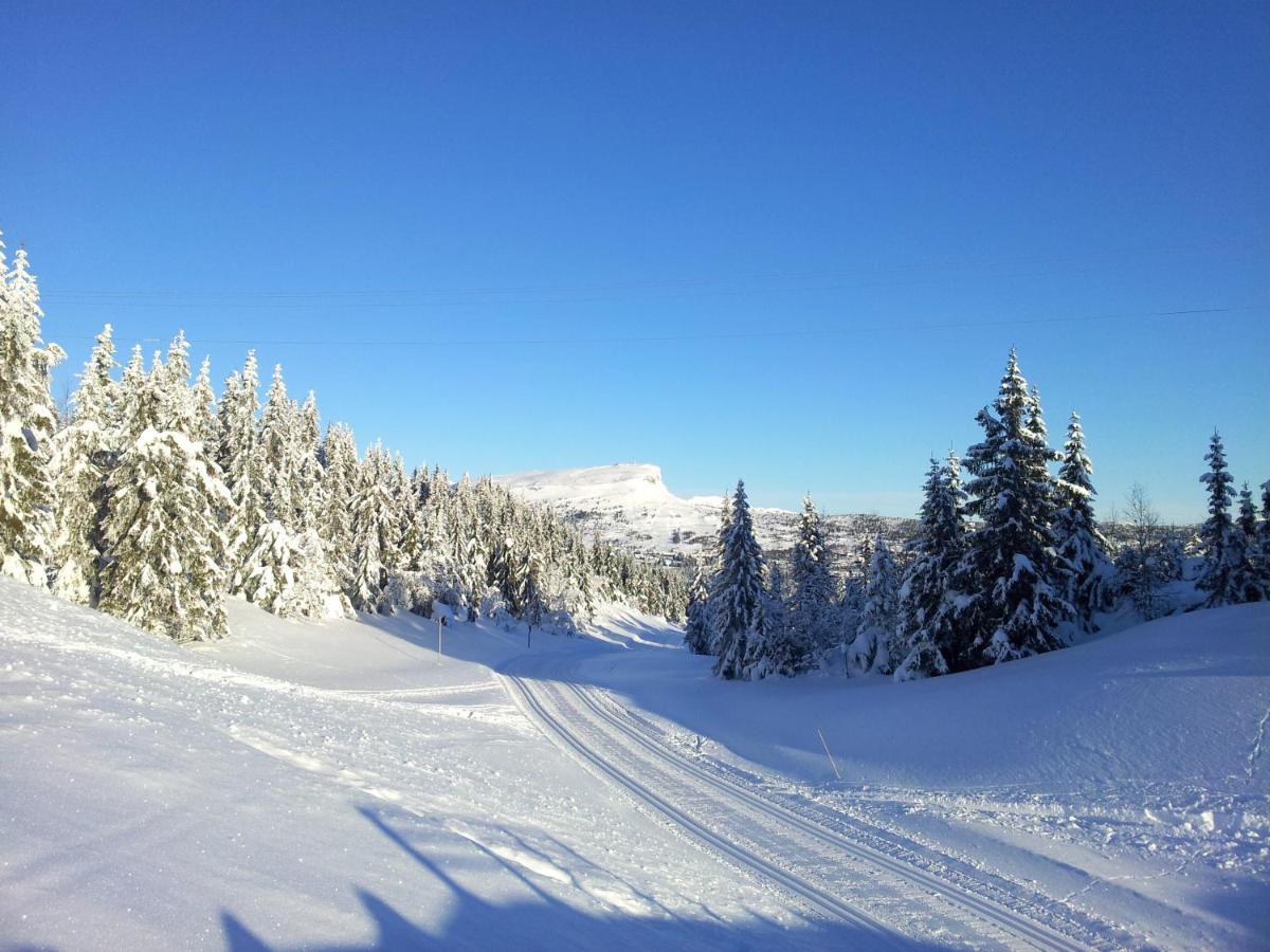Skeikampen Leilighet, Veslesetervegen 973 F Svingvoll Exterior foto