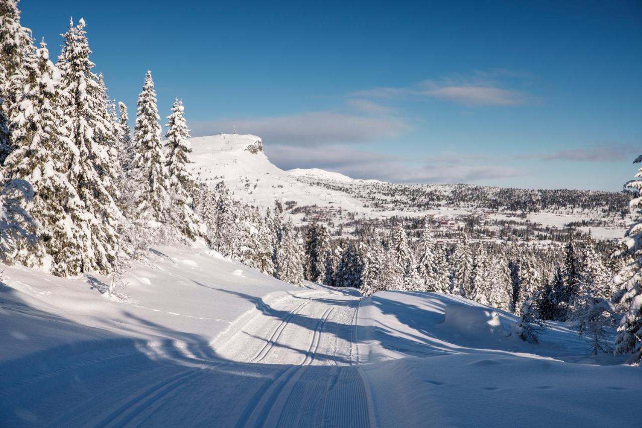 Skeikampen Leilighet, Veslesetervegen 973 F Svingvoll Exterior foto